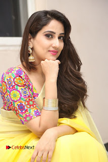 Telugu Actress Anchor Manjusha Stills in Yellow Saree at Janaki Ramudu Audio Launch  0241content is